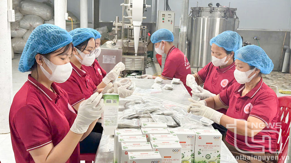 Thái Nguyên: Phú Lương khai thác thế mạnh, phát triển sản phẩm OCOP