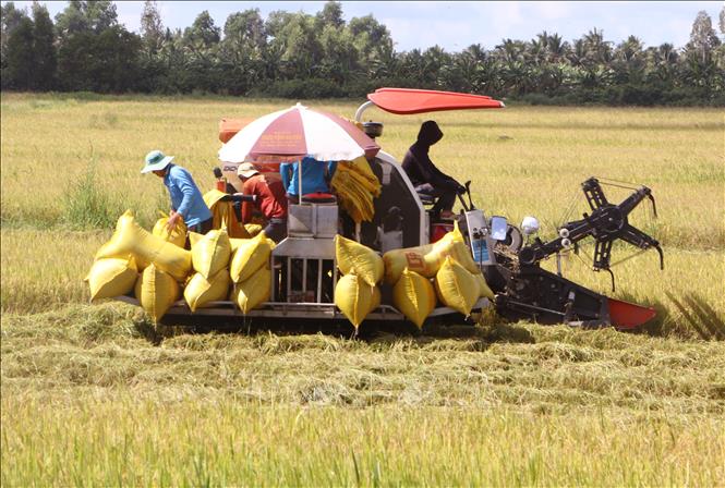 Tạo điều kiện cho doanh nghiệp thủy sản, gạo mở rộng sản xuất, xuất khẩu