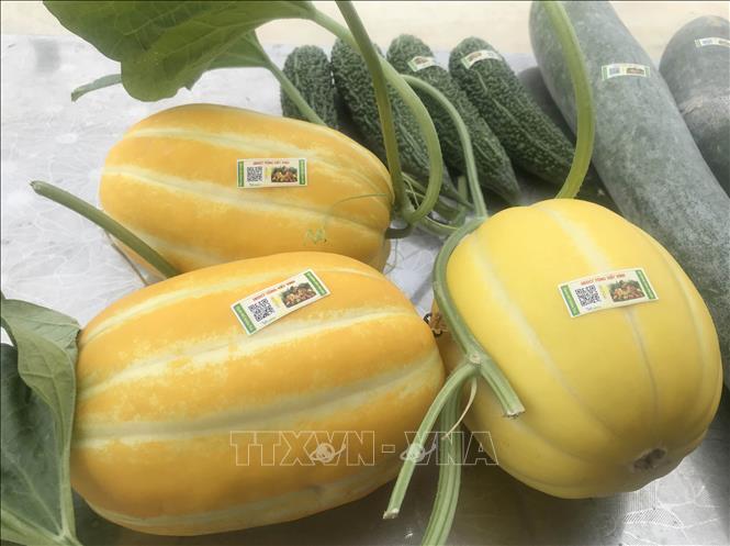 Nâng tầm giá trị nông sản bằng tem truy xuất nguồn gốc