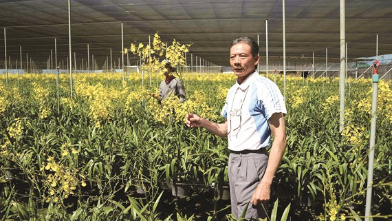 Tiếp sức sáng tạo cho ngành nông nghiệp 