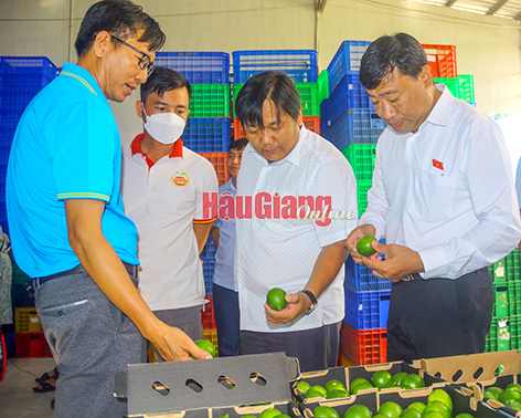 Hỗ trợ hơn 46 tỉ đồng cho hợp tác xã phát triển