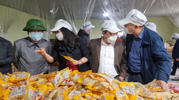 Xín Mần trồng rau xuất khẩu sang Nhật