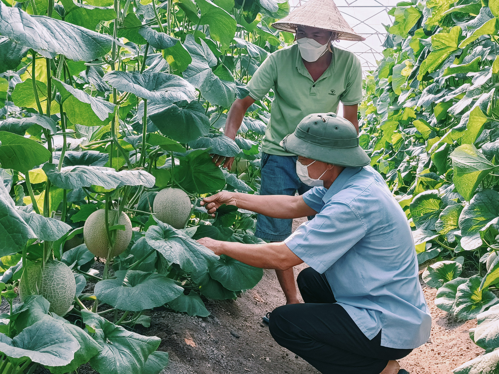 Phú Giáo đẩy mạnh phát triển kinh tế tập thể