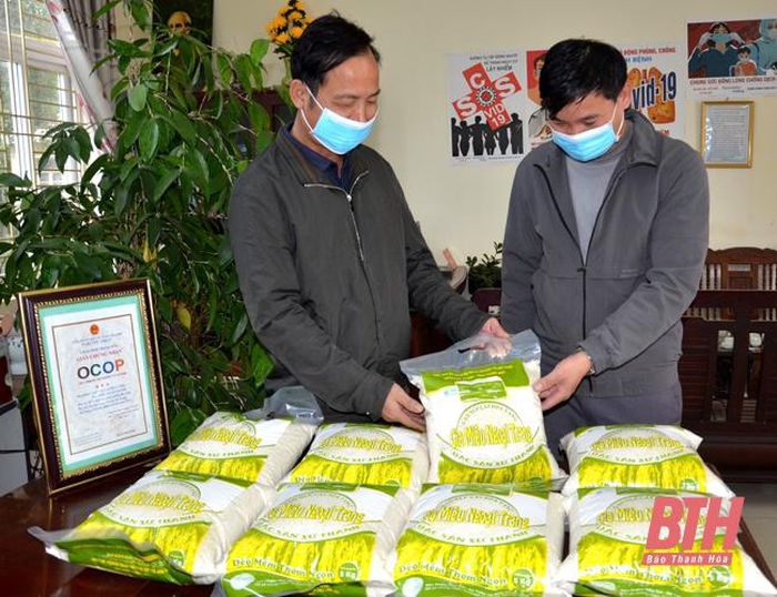 Thanh Hoá: Nếp cái hoa vàng trên vùng đất quý hương