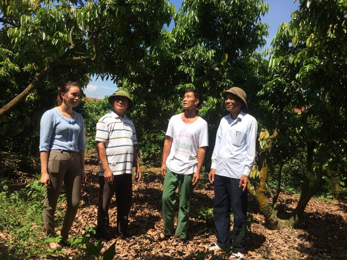 Bắc Giang: Gắn chuyển đổi số trong xây dựng nông thôn mới