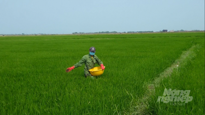 Nâng tầm thương hiệu 'Gạo Diên Sanh' góp phần xây dựng nông thôn mới