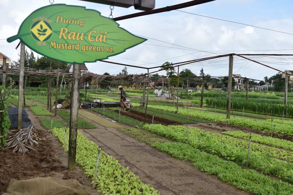 Quảng Nam hỗ trợ phát triển kinh tế vườn, trang trại trong 5 năm tới