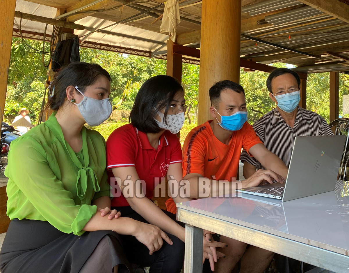 Hòa Bình: Nhãn Sơn Thủy lên sàn thương mại điện tử