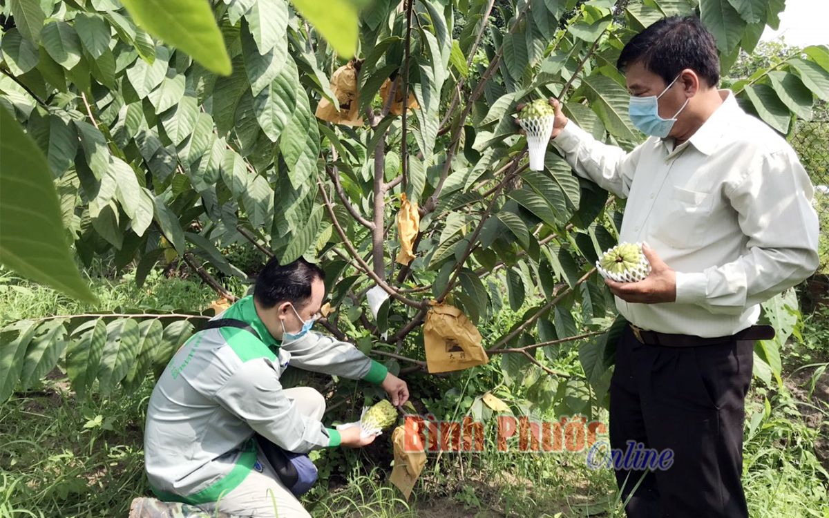Quảng Ninh: Cùng nông dân làm giàu