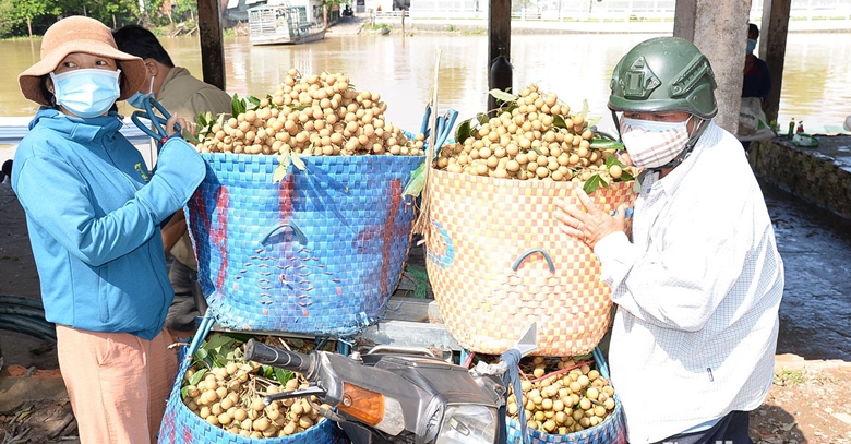 Tiền Giang nông sản khó tiêu thụ