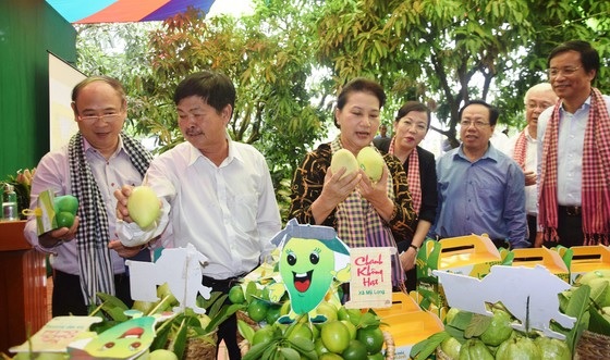 Sáng tạo, phát triển bền vững kinh tế tập thể