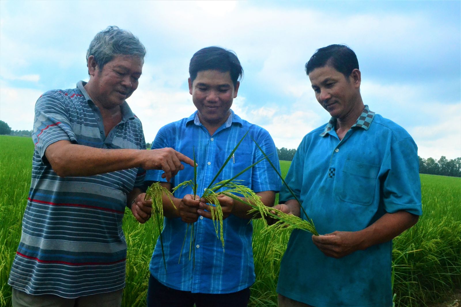Quyết tâm làm gạo sạch