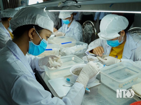 Hợp tác xã Dịch vụ tổng hợp Tuấn Tú Đơn vị điển hình xây dựng nông thôn mới