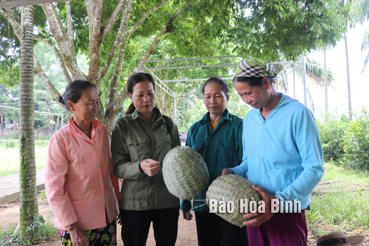 Hòa Bình: Nông dân thi đua sản xuất, kinh doanh giỏi