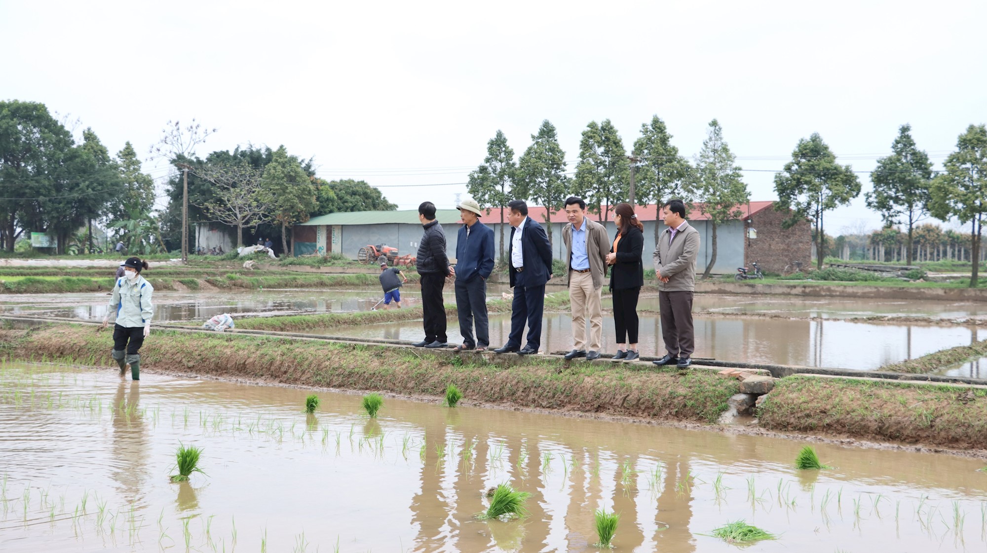 Hà Nội dồn lực cho vụ xuân, hạn chế diện tích bỏ hoang