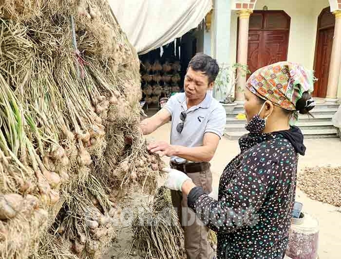 Hải Dương: “Nút thắt” trong sản xuất vụ đông