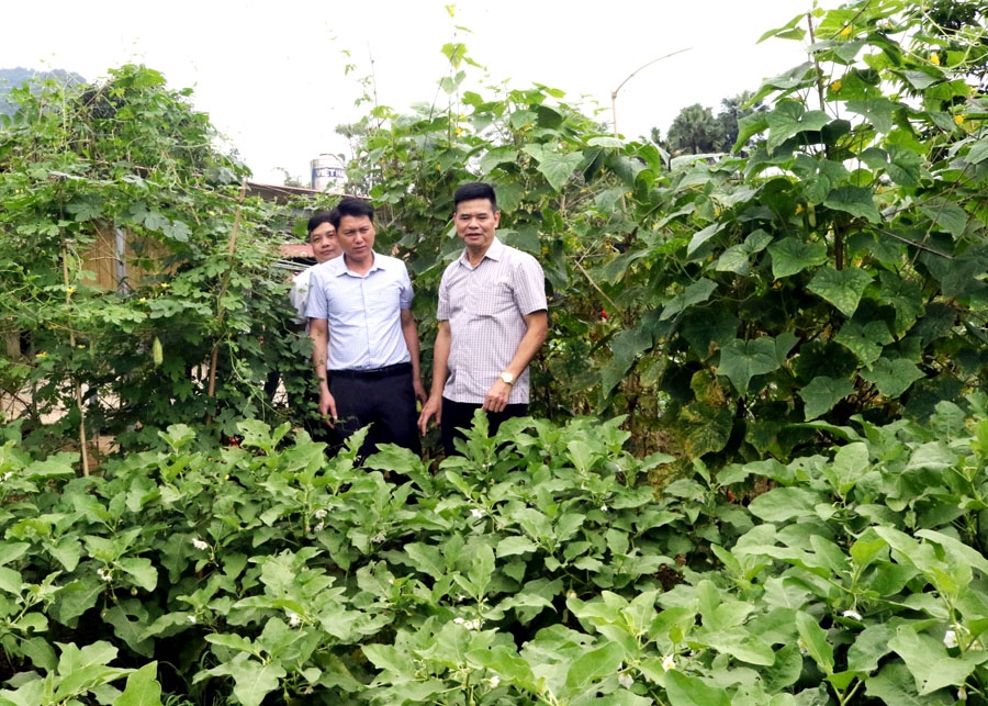 Hà Giang: Vượt lên khó khăn để phát triển bền vững