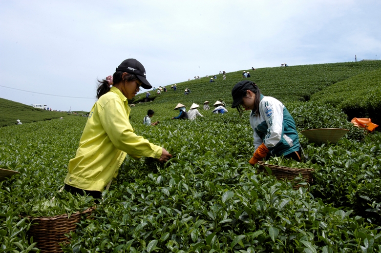 Thúc đẩy phát triển doanh nghiệp do phụ nữ làm chủ ở vùng dân tộc thiểu số