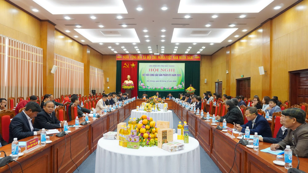 Các hợp tác xã tăng cường kết nối cung cầu, tiêu thụ sản phẩm