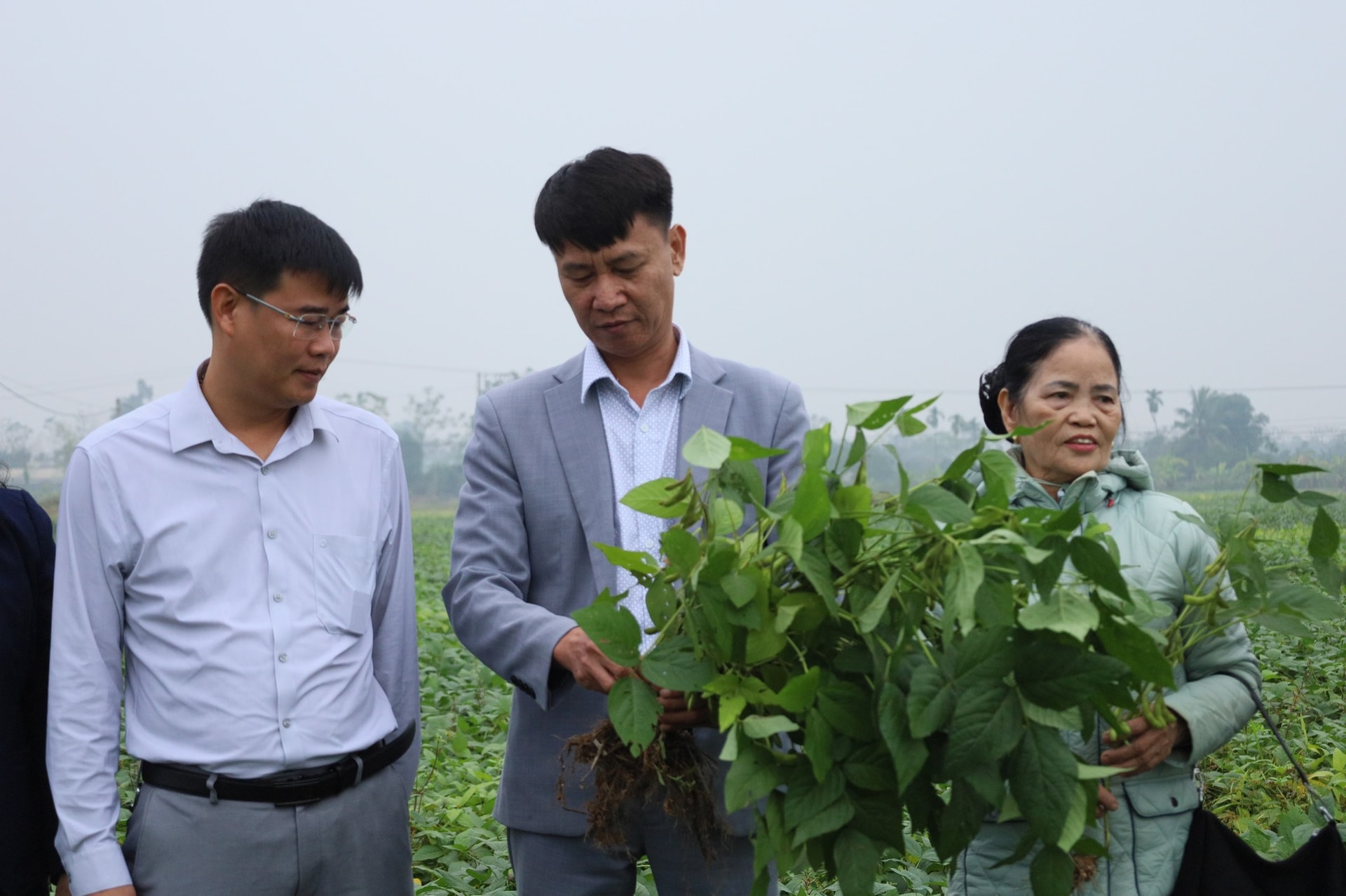 Kinh tế tập thể trong nông nghiệp - nền tảng vững chắc cho nông dân vươn lên ở Thủ đô