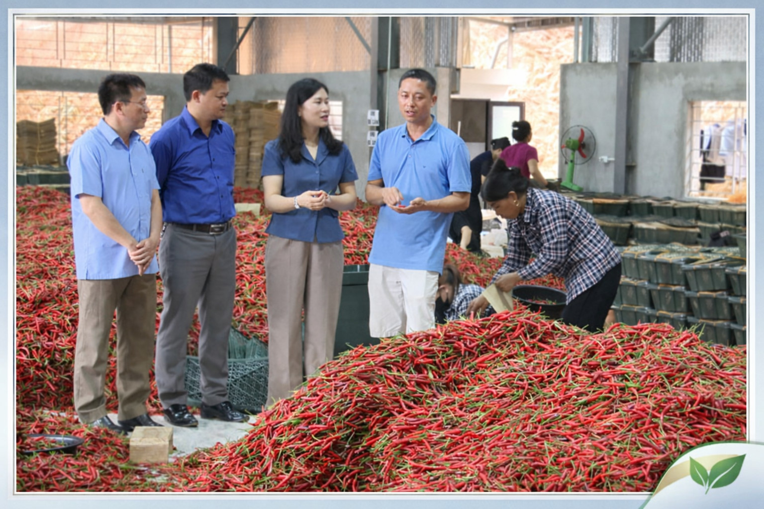 Liên minh Hợp tác xã tỉnh Lạng Sơn đổi mới hoạt động, đồng hành cùng hợp tác xã phát triển nông nghiệp sinh thái, bền vững